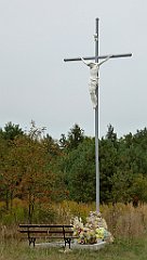 489_TZ60_P1040872_cr