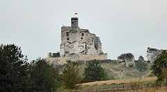 496_TZ60_P1040876_cr