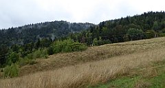 083_TZ60_P1040885_cr