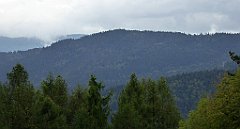 090_TZ60_P1040894_cr