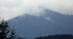 091_TZ60_P1040895_cr