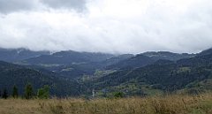 097_TZ60_P1040907_cr