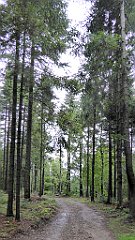 126_TZ60_P1040940_cr