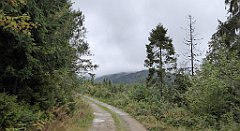 136_TZ60_P1040944_cr