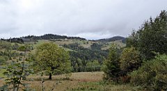 139_TZ60_P1040947_cr