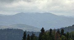 161_TZ60_P1040970_cr