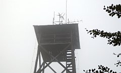 195_TZ60_P1040990_cr