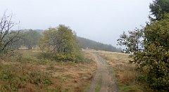 207_TZ60_P1050004_cr