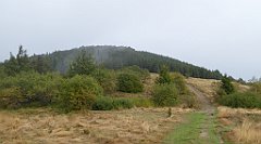 212_TZ60_P1050009_cr