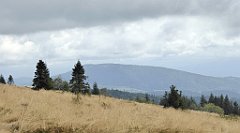 213_TZ60_P1050010_cr