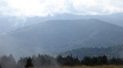 217_TZ60_P1050016_cr