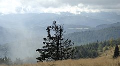 219_TZ60_P1050018_cr