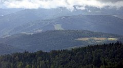 224_TZ60_P1050023_cr