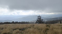 227_TZ60_P1050026_cr