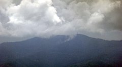 239_TZ60_P1050038_cr