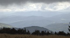 241_TZ60_P1050040_cr