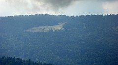 244_TZ60_P1050043_cr