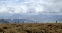 250_TZ60_P1050049_cr