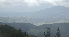 251_TZ60_P1050050_cr