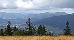 262_TZ60_P1050064_cr