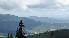 270_TZ60_P1050073_cr