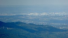 273_TZ60_P1050076_cr