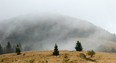 275_TZ60_P1050078_cr