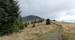 284_TZ60_P1050087_cr