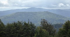 289_TZ60_P1050092_cr