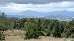 293_TZ60_P1050096_cr