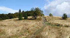 301_TZ60_P1050104_cr