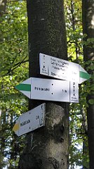 320_TZ60_P1050112_cr