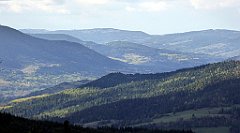 330_TZ60_P1050121_cr