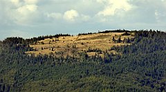 335_TZ60_P1050124_cr