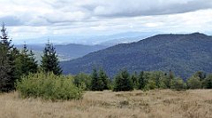 340_TZ60_P1050126_cr