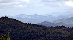 357_TZ60_P1050144_cr