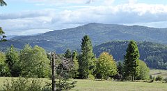 376_TZ60_P1050160_cr