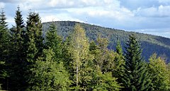 383_TZ60_P1050167_cr