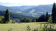 386_TZ60_P1050169_cr