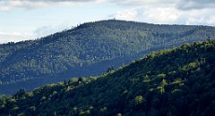 406_TZ60_P1050187_cr