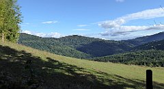 409_TZ60_P1050190_cr