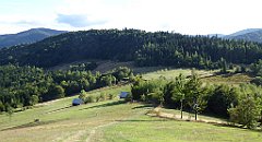 415_TZ60_P1050197_cr