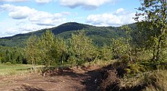 432_TZ60_P1050210_cr