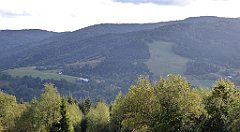 446_TZ60_P1050222_cr