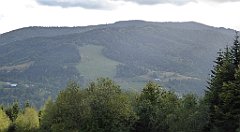 447_TZ60_P1050223_cr