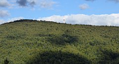 464_TZ60_P1050239_cr