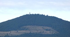 471_TZ60_P1050246_cr