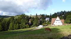 482_TZ60_P1050255_cr