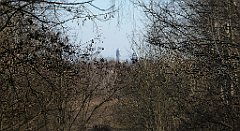 016_TZ60_P1060386_cr