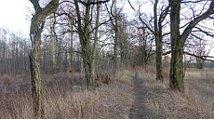 118_TZ60_P1060426_cr